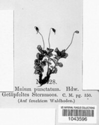 Image Associated With the Occurence